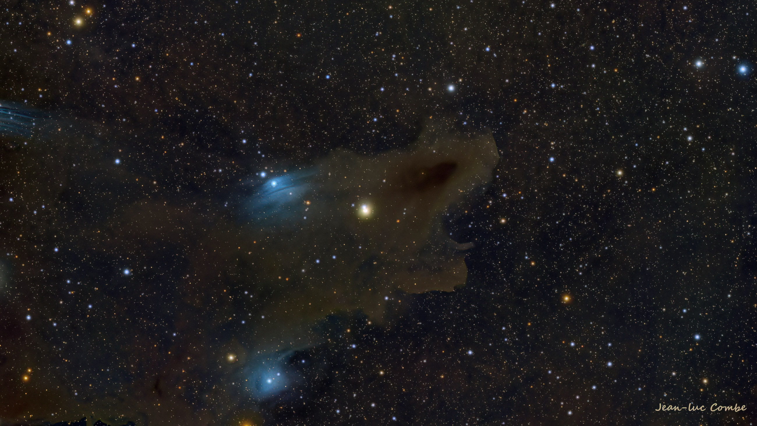 ldn1235 nébuleuse du requin